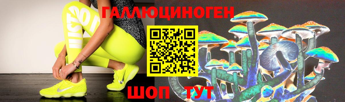 Фрязино  Галлюциногенные грибы Magic Shrooms  Вход с VPN 